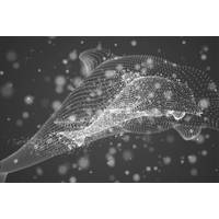 Copyright Coffeemill/AdobeStock