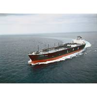 Lycaste Peace (Source: NYK)