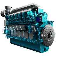 Niigata engine (Photo: Royston)