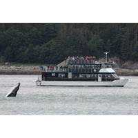 (Photo: Allen Marine Tours)