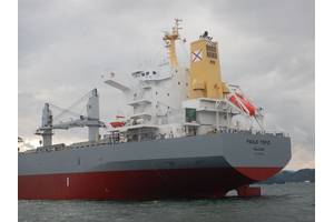 he compact and containerised Wärtsilä HY Module for Bulkers installed on board the M/V Paolo Topic. © Marfin