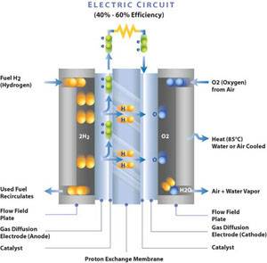 How a PEM Fuel Cell Works. (Image: http://www.ballard.com)