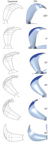 Figure 6: Both in the physical test and in the simulation, cavitation occurs between ҩ = 340° and ҩ = 90°, which shows good agreement in terms of type and form. (Image: MAN Diesel & Turbo)