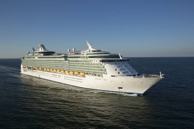 Royal Caribbean International ship Freedom of the Seas (Photo: Alfa Laval)